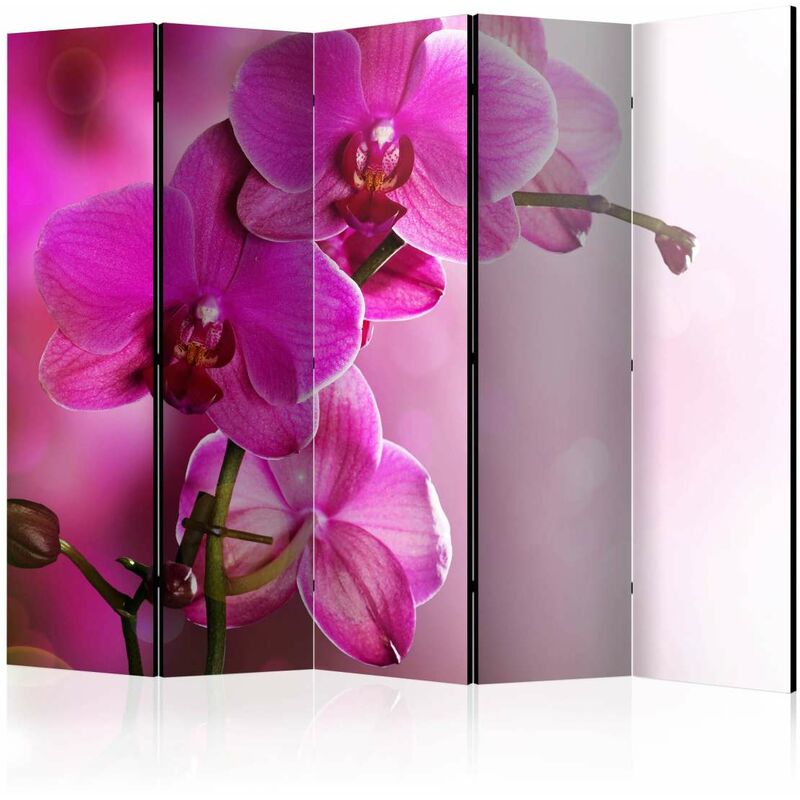 

Biombo - Pink orchid II [Room Dividers] Medidas 225X172