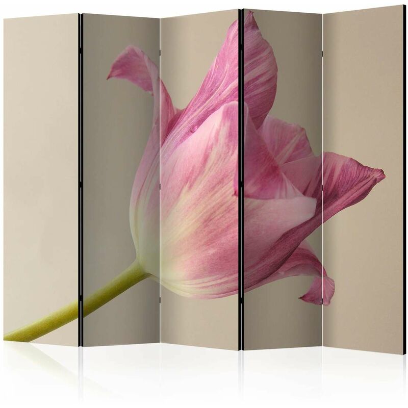 

Biombo - Pink tulip II [Room Dividers] Medidas 225X172