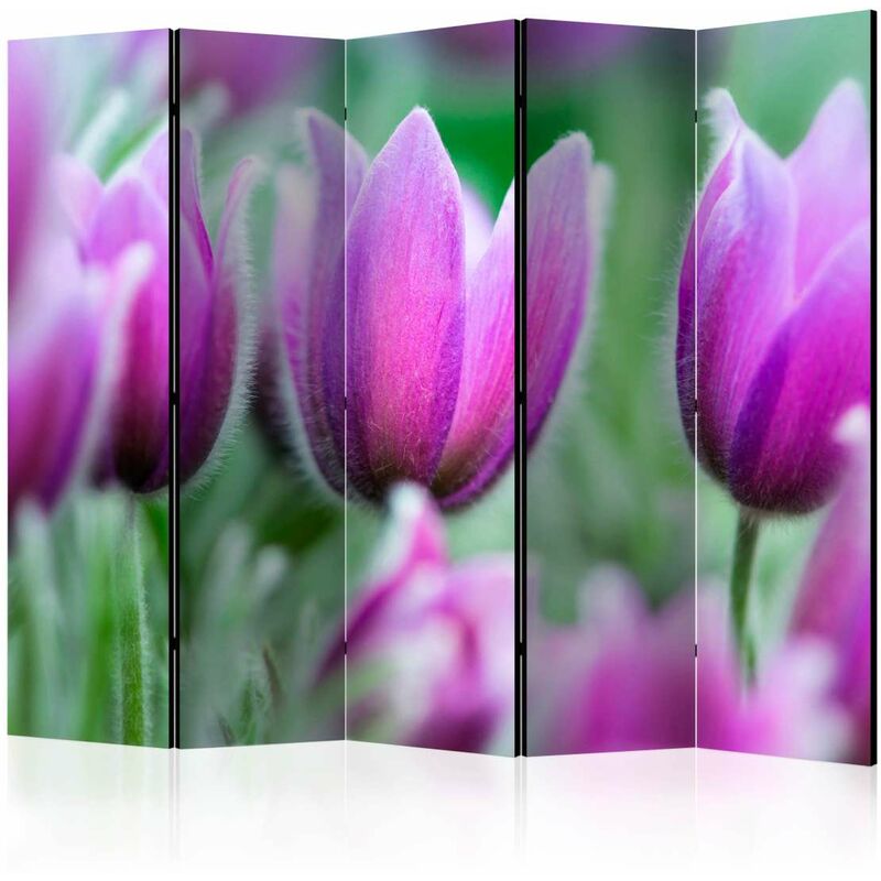 

Biombo - Purple spring tulips II [Room Dividers] Medidas 225X172