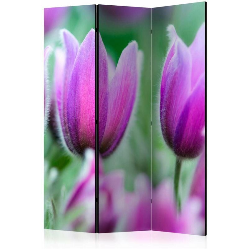 

Biombo - Purple spring tulips [Room Dividers] Medidas 135X172