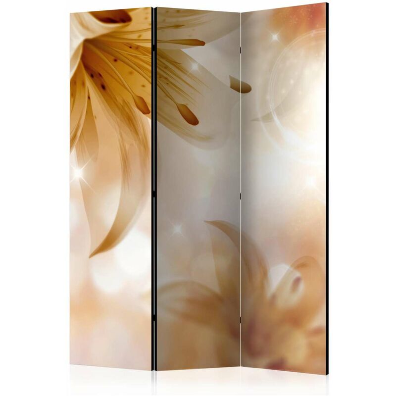 

Biombo - Queens of Summer [Room Dividers] Medidas 135X172