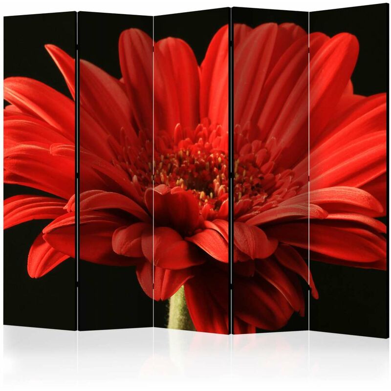 

Biombo - Red gerbera flower II [Room Dividers] Medidas 225X172