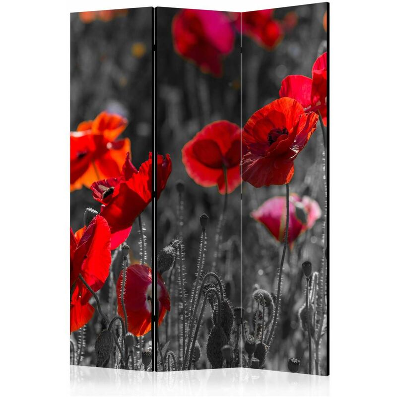 

Biombo - Red Poppies [Room Dividers] Medidas 135X172