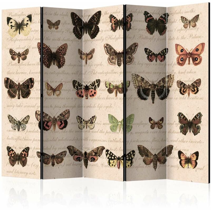 

Biombo - Retro Style: Butterflies II [Room Dividers] Medidas 225X172