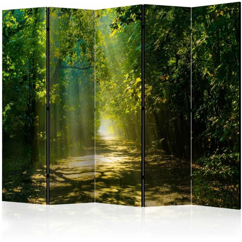 

Biombo - Road in Sunlight II [Room Dividers] Medidas 225X172