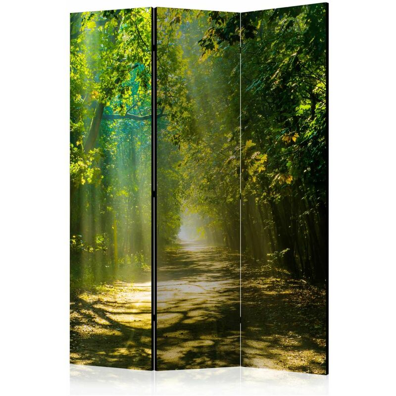 

Biombo - Road in Sunlight [Room Dividers] Medidas 135X172