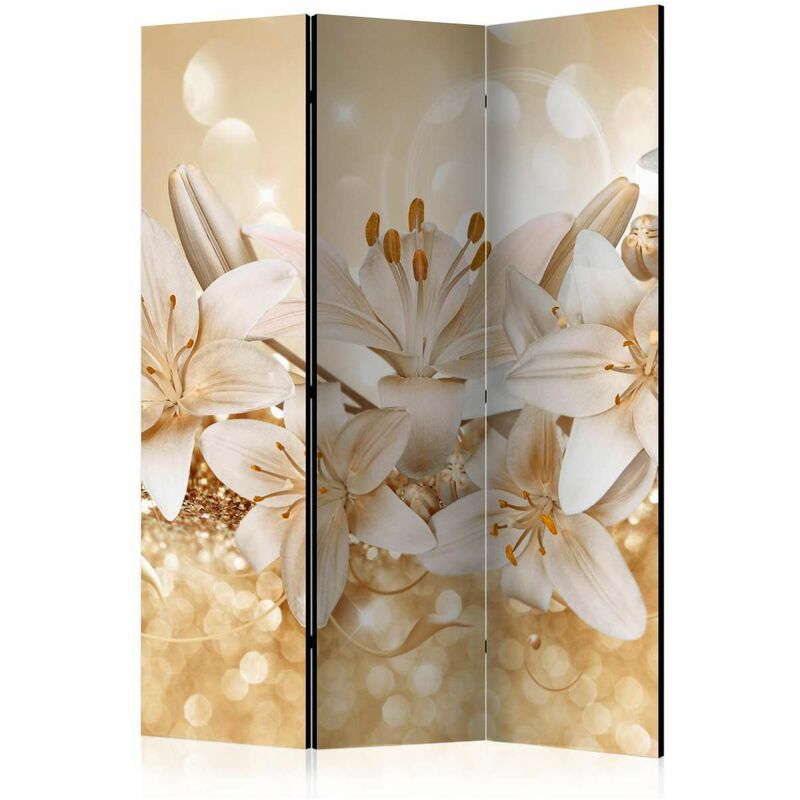 

Biombo - Royal Entourage [Room Dividers] Medidas 135X172