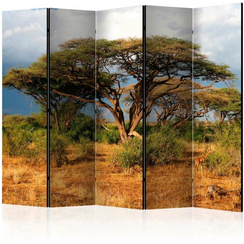 

Biombo - Samburu National Reserve, Kenya II [Room Dividers] Medidas 225X172