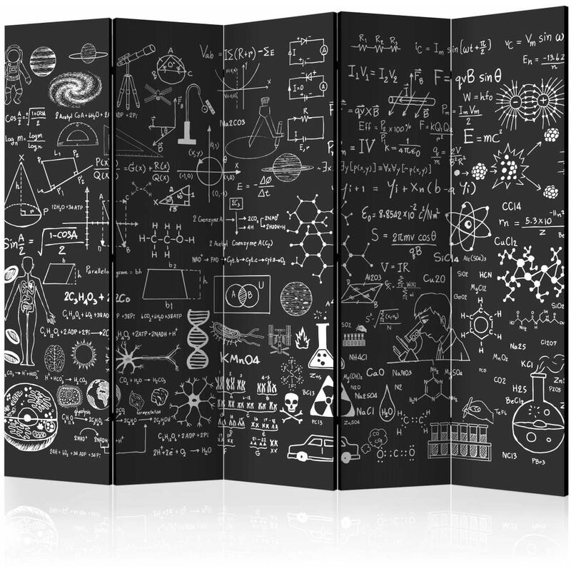 

Biombo - Science on Chalkboard II [Room Dividers] Medidas 225X172