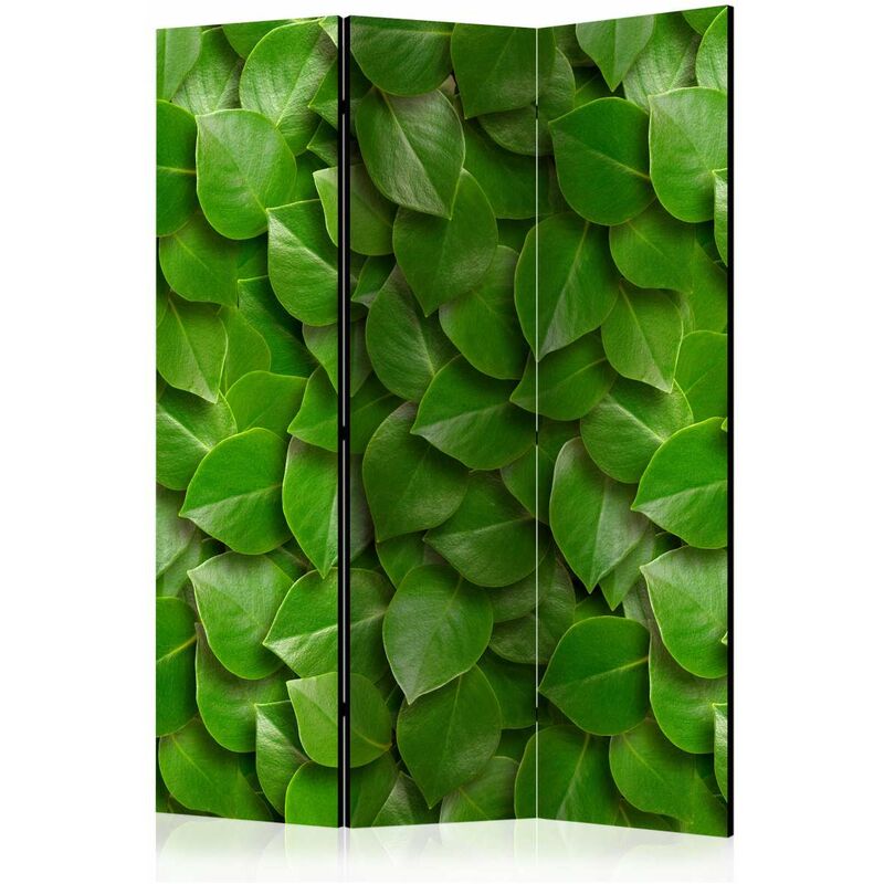 

Biombo - Secret Garden [Room Dividers] Medidas 135X172