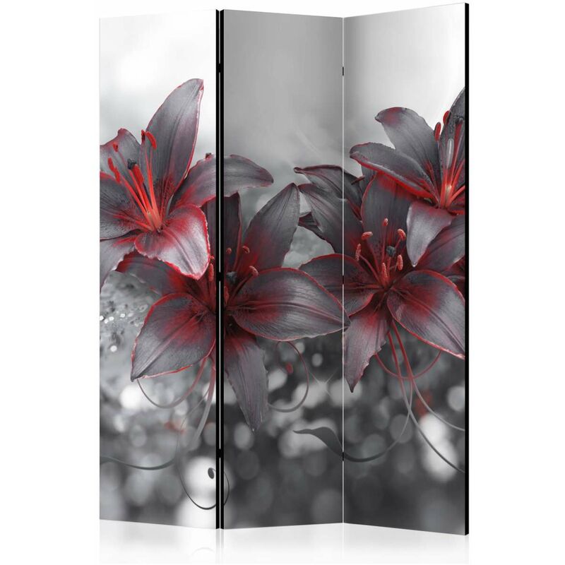 

Biombo - Shadow of Passion [Room Dividers] Medidas 135X172