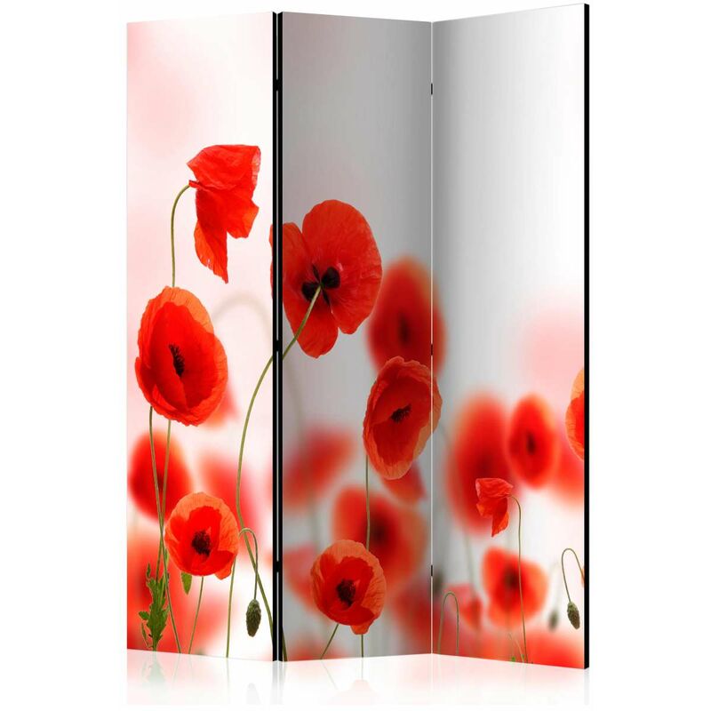 

Biombo - Sleepy poppy's land [Room Dividers] Medidas 135X172