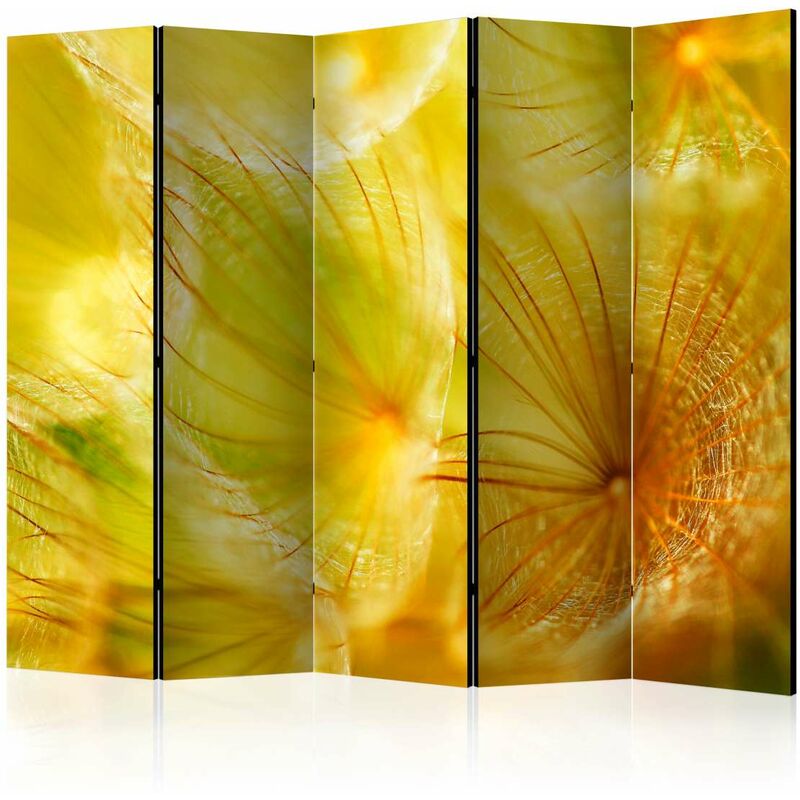 

Biombo - Soft dandelion flower II [Room Dividers] Medidas 225X172