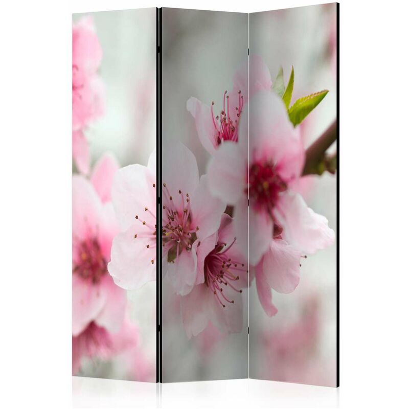 

Biombo - Spring, blooming tree - pink flowers [Room Dividers] Medidas 135X172