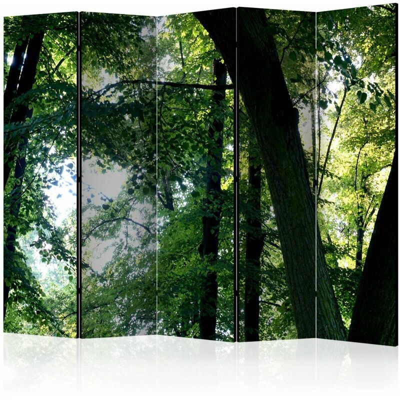 

Biombo - Spring in the Park II [Room Dividers] Medidas 225X172