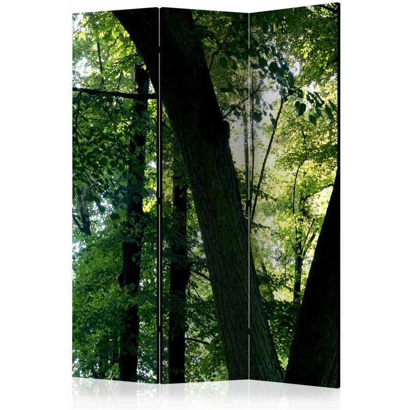 

Biombo - Spring in the Park [Room Dividers] Medidas 135X172