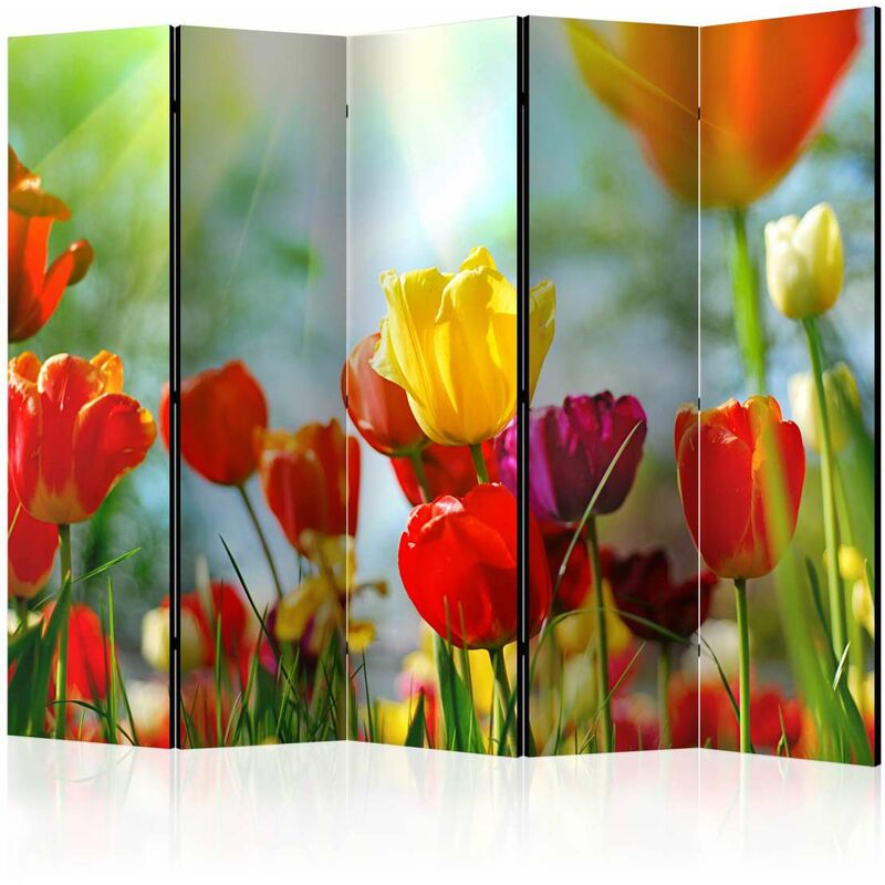 

Biombo - Spring Tulips II [Room Dividers] Medidas 225X172
