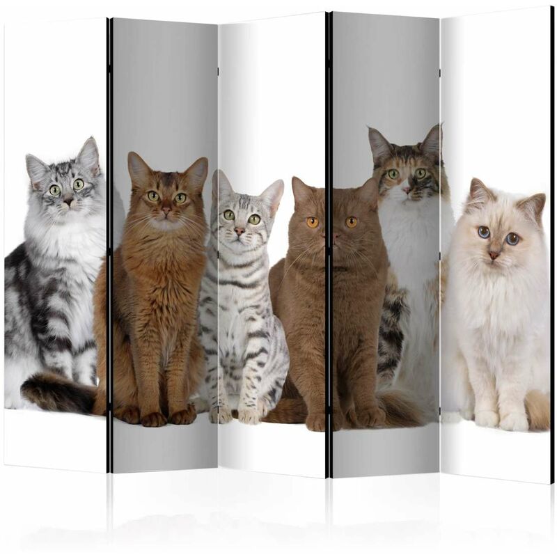 

Biombo - Sweet Cats II [Room Dividers] Medidas 225X172