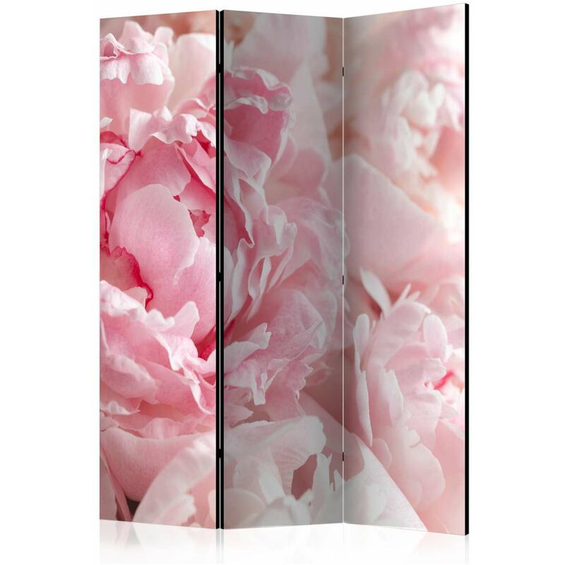 

Biombo - Sweet Peonies [Room Dividers] Medidas 135X172