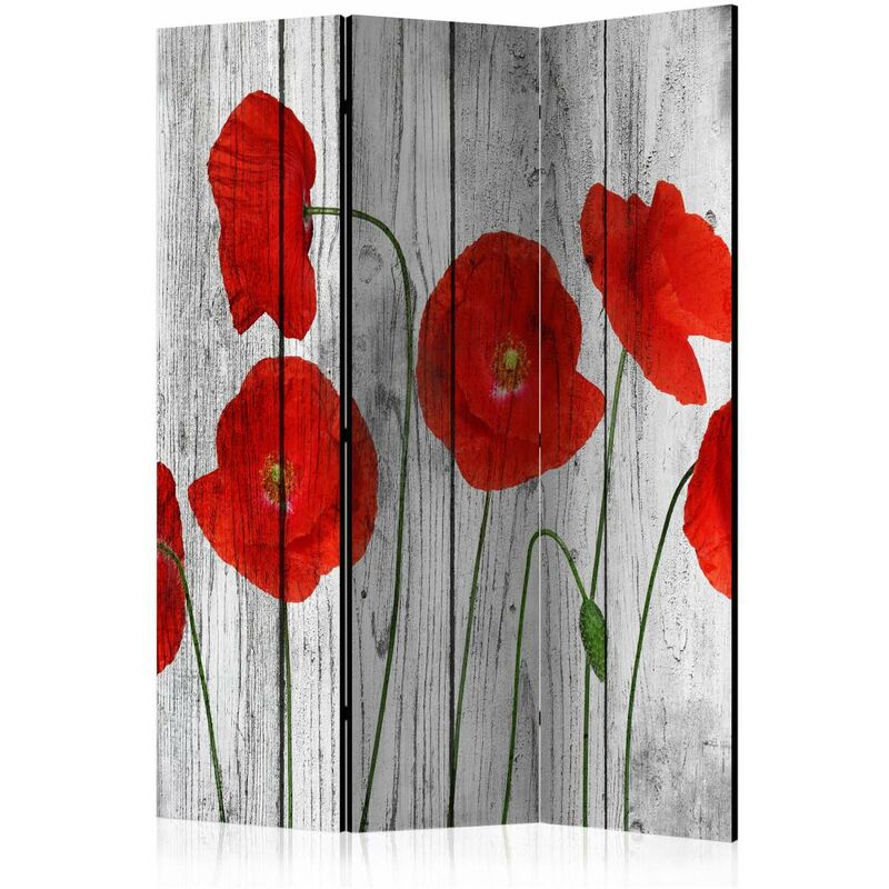 

Biombo - Tale of Red Poppies [Room Dividers] Medidas 135X172