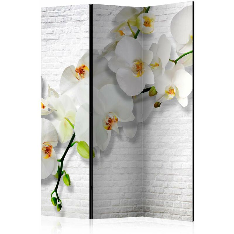 

Biombo - The Urban Orchid [Room Dividers] Medidas 135X172