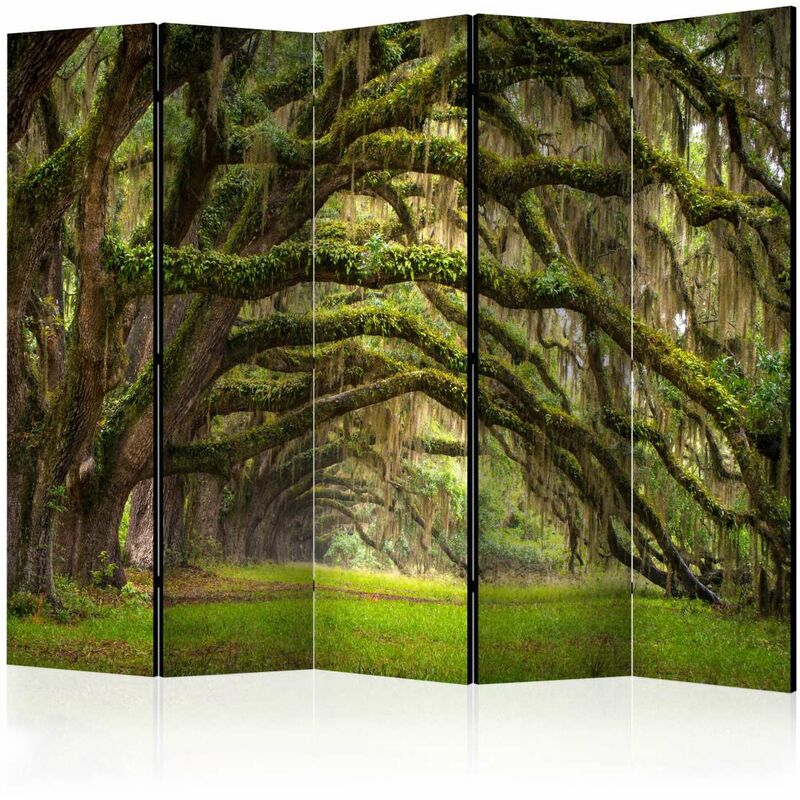

Biombo - Tree embrace II [Room Dividers] Medidas 225X172