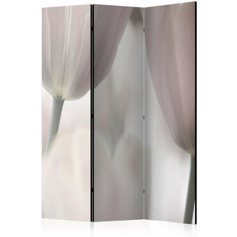

Biombo - Tulips fine art - black and white [Room Dividers] Medidas 135X172