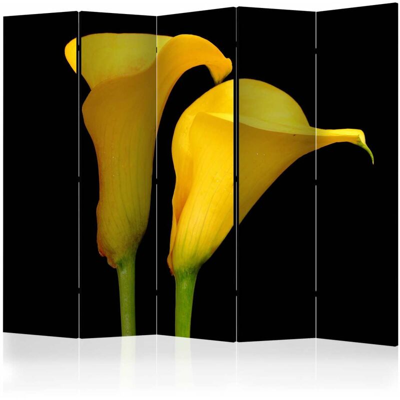 

Biombo - Two yellow calla flowers on a black background II [Room Dividers] Medidas 225X172
