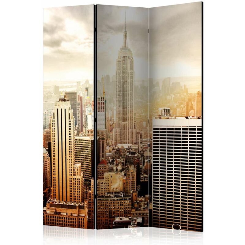 

Biombo - Uncombed by wind [Room Dividers] Medidas 135X172