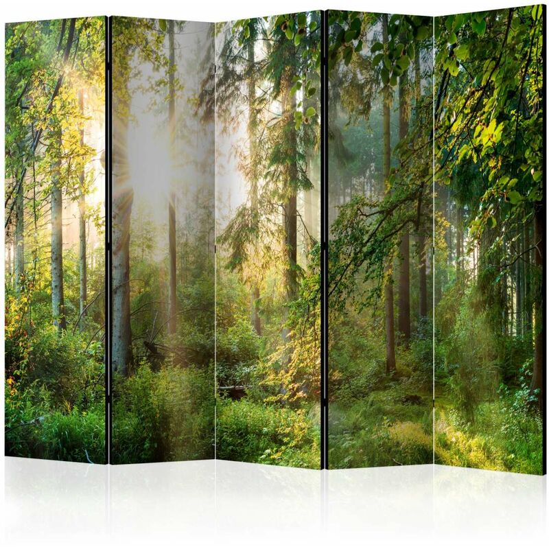 

Biombo - Untamed Nature II [Room Dividers] Medidas 225X172