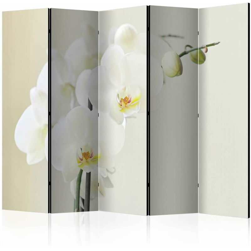 

Biombo - White orchid II [Room Dividers] Medidas 225X172