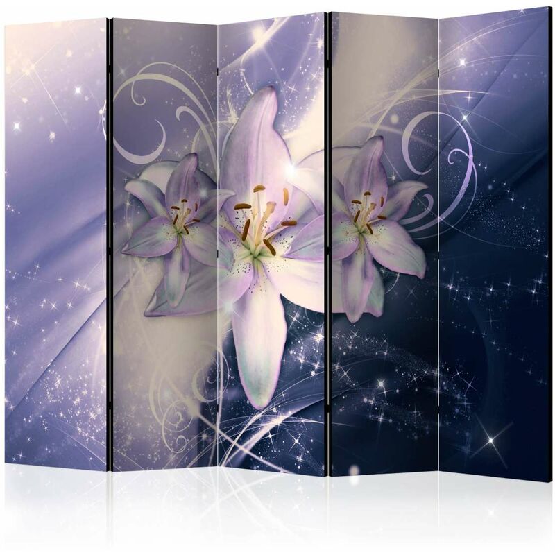 

Biombo - Wintry Galaxy II [Room Dividers] Medidas 225X172