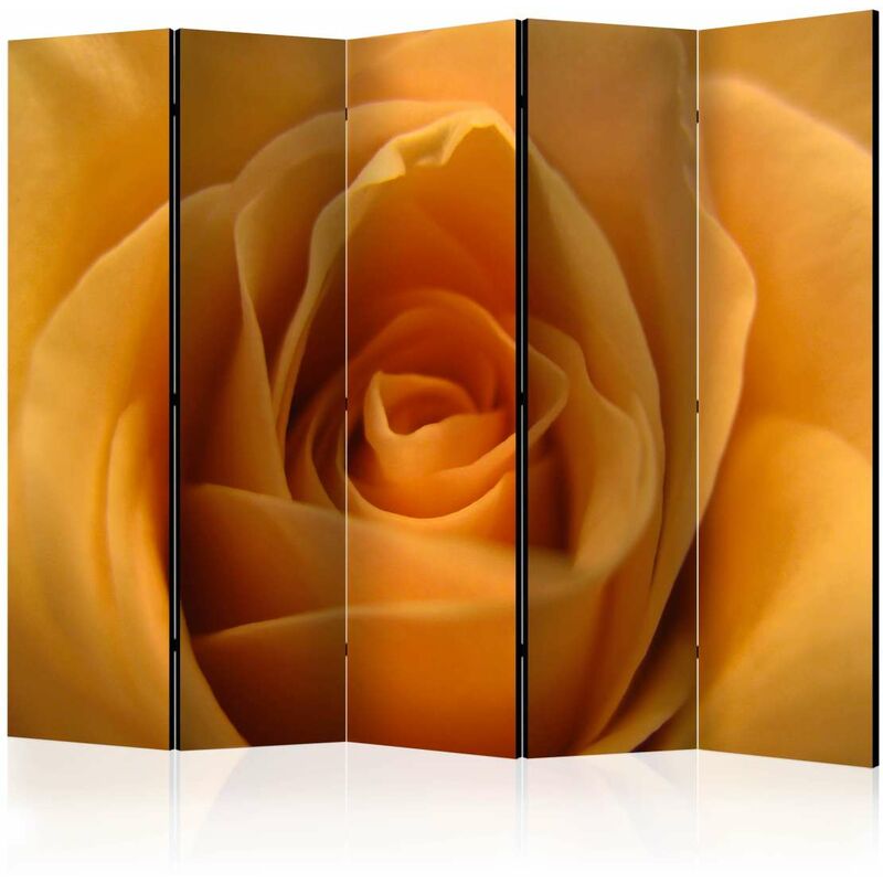 

Biombo - Yellow rose  a symbol of friendship II [Room Dividers] Medidas 225X172