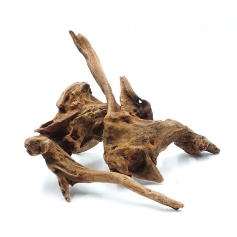 BioRain Roots Tropical Driftwood Root S 12-20cm