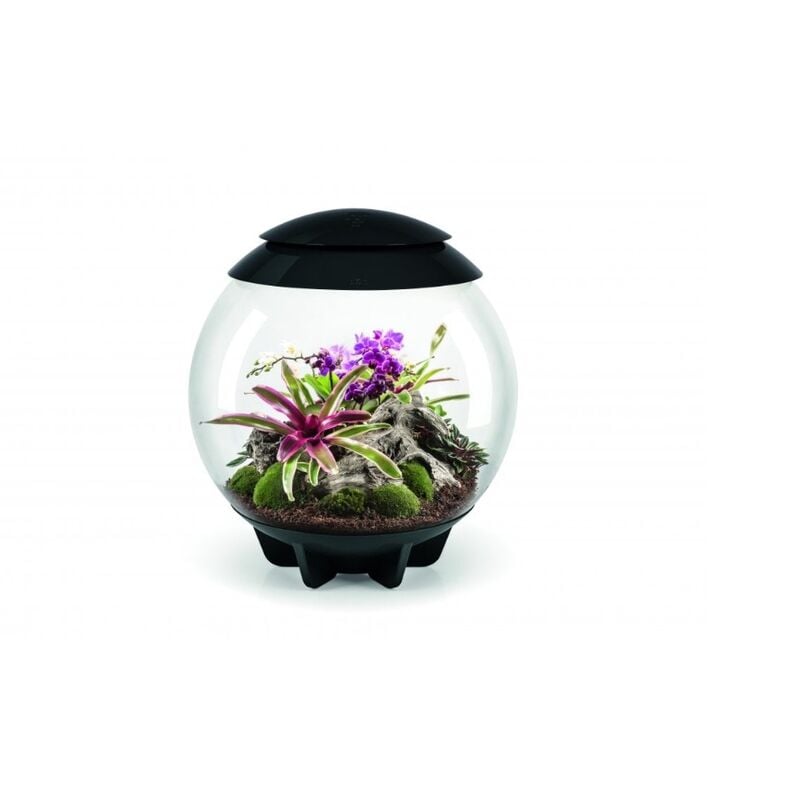 Oase Air 60 schwarz - Air 60 black - oase