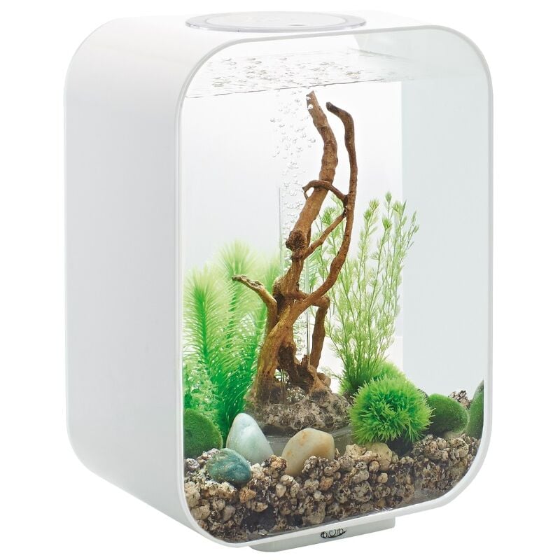 Oase - Aquarium 15l led contours blanc Life 15 led white