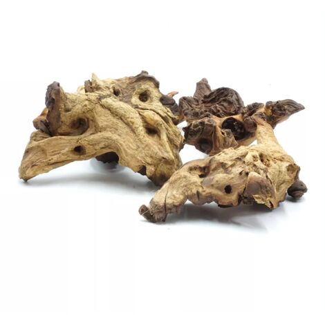 BioRoot Mopani Root per terrario e acquario S 10-20cm
