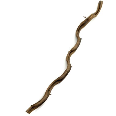 BioThai Liana 2-4cm / 100cm