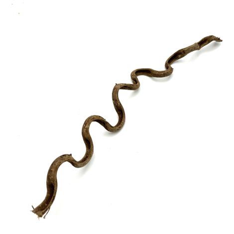 BioThai Liane 2-4cm / 50cm