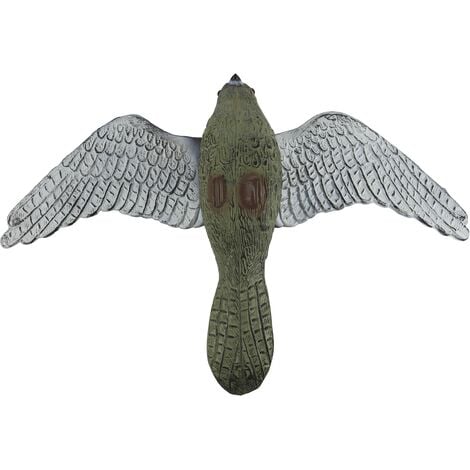 Falco volante