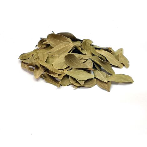 BioVerde Leafs Hojas Brasileñas 20g