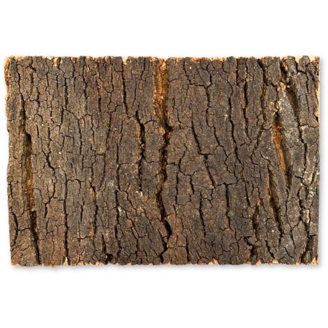 BioVirgin Cork Background Dark 30x20cm sfondo in sughero per terrari