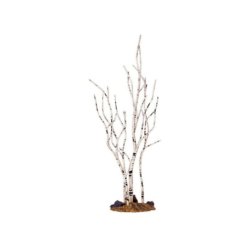 Birch Tree Medium Art.-Nr. 34967