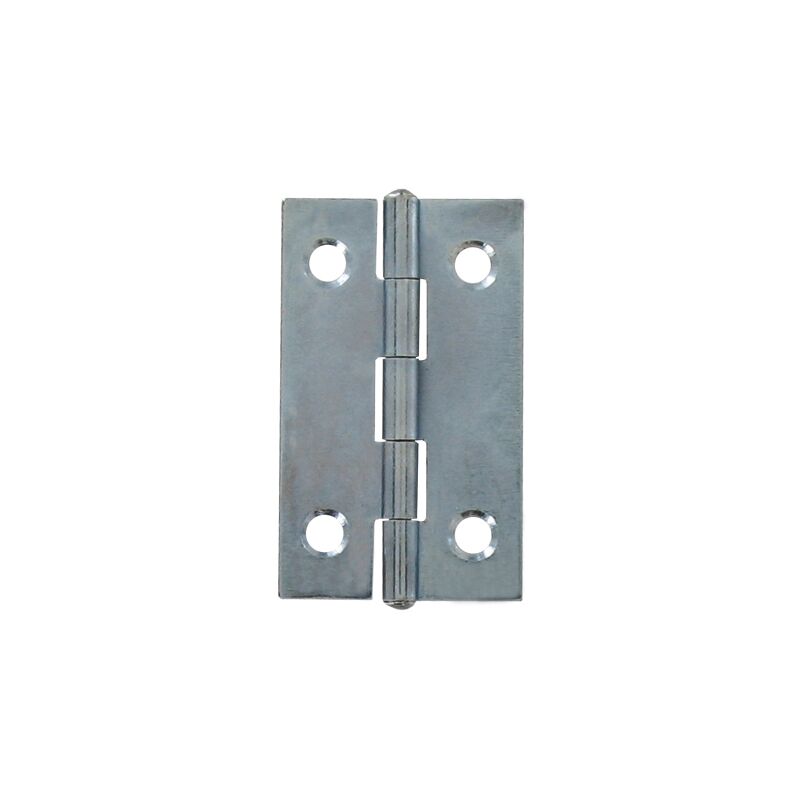 

Bisagra de mueble, de acero galvanizado 120 x 60 mm - 2 piezas - Argenté - Vynex
