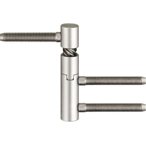 Bisagra de puerta recta V 5450 (por 2)