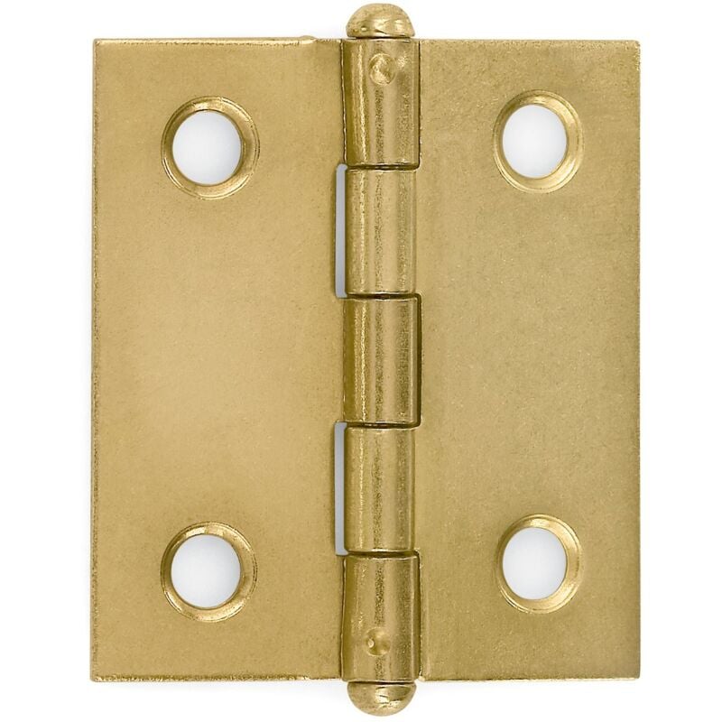 

Bisagra Inoxidable Plana Final Chato 40-35 - Inox Pulido