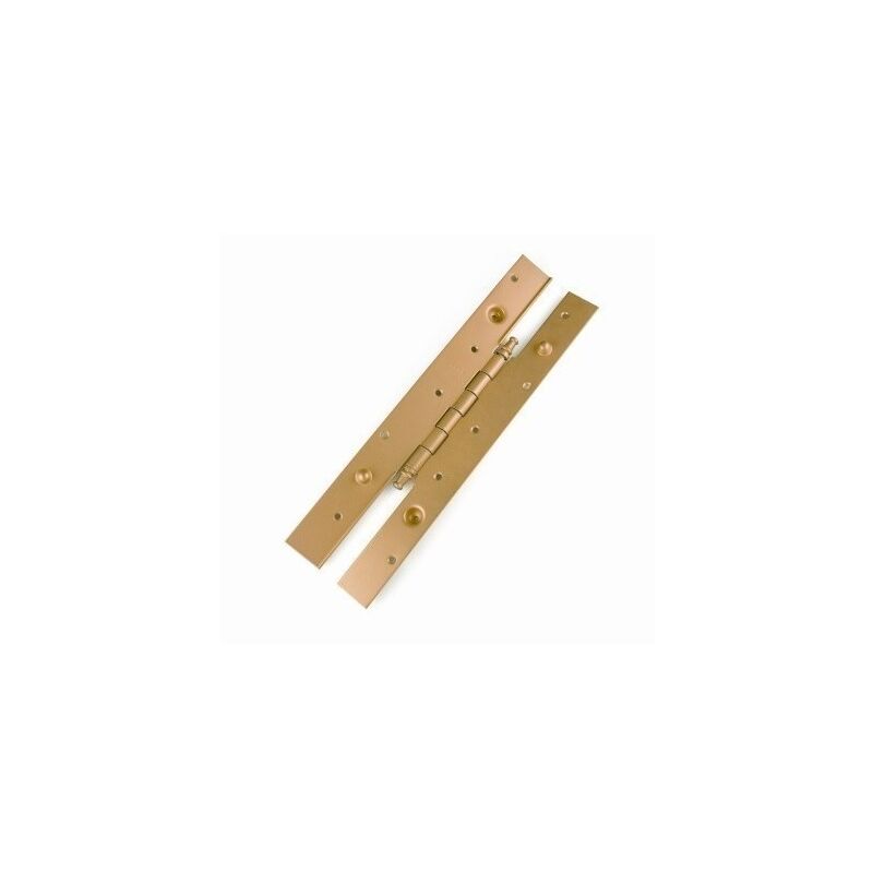 

Bisagra Larga 2030X40Cm 105 Laton Izquierdas - Becusa