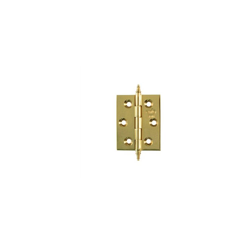 Boîte de 20 charnières en laiton poli 70x50mm mod.1003 3009 Amig