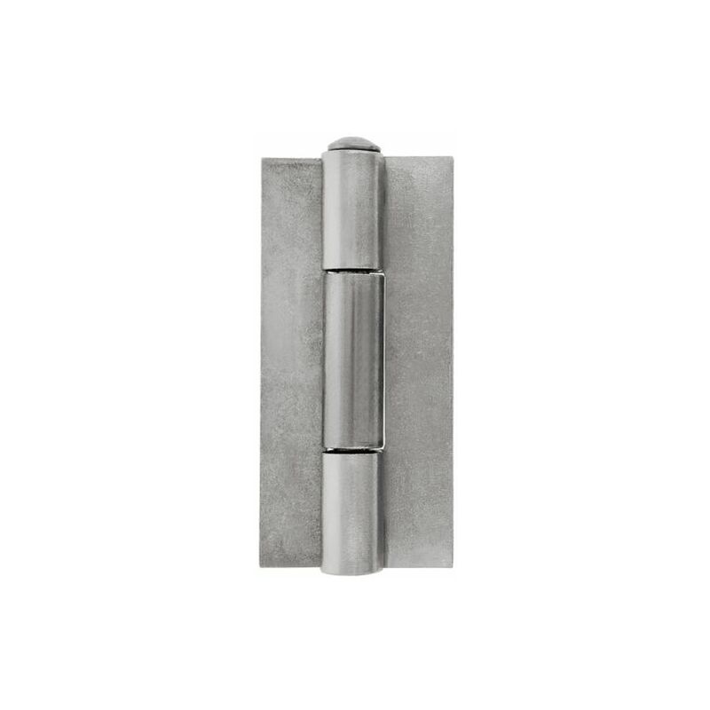 

Bisagra Libro Acero Pulido Mod.20 150 X 58 Mm - Amig