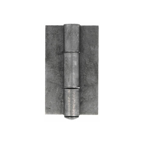 BISAGRA LIBRO AMIG ACERO PULIDO 20-150 X 58